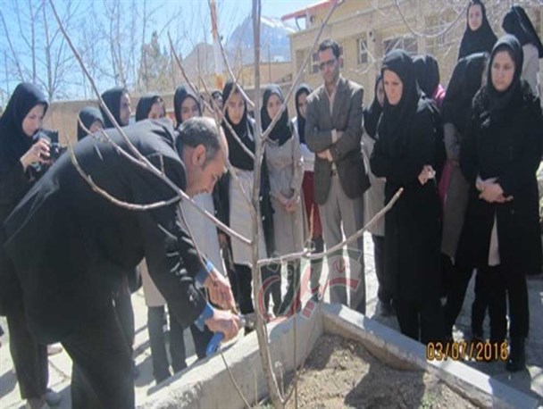 برگزاری جشنواره گل و گیاه در هنرستان پویندگان شهرستان سنقر
