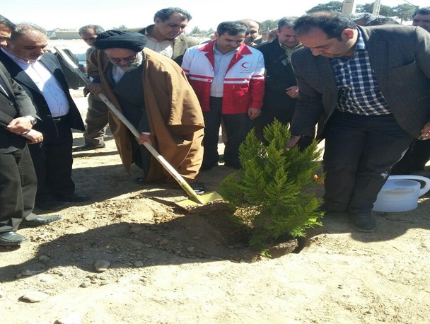 گزارش تصویری غرص ۱۷۶ درخت در ورامین