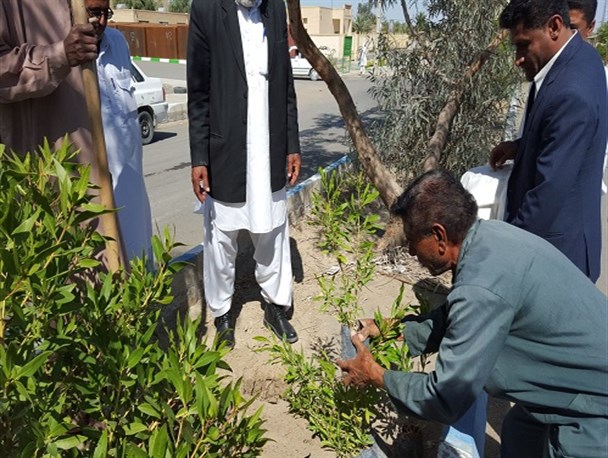 گزارش تصویری کاشت نهال توسط مسئولین بخش لاشار به مناسبت هفته منابع طبیعی