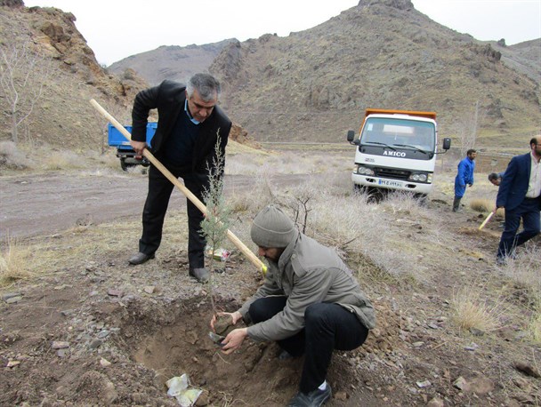 کاشت ۳۰۰ اصل نهال در روستای ایپک شهرستان اشتهارد+تصاویر