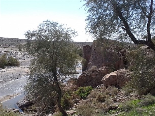 سرابدوک و میگلی، طبیعتی چشم نواز در شمال شرق شهرستان دلگان