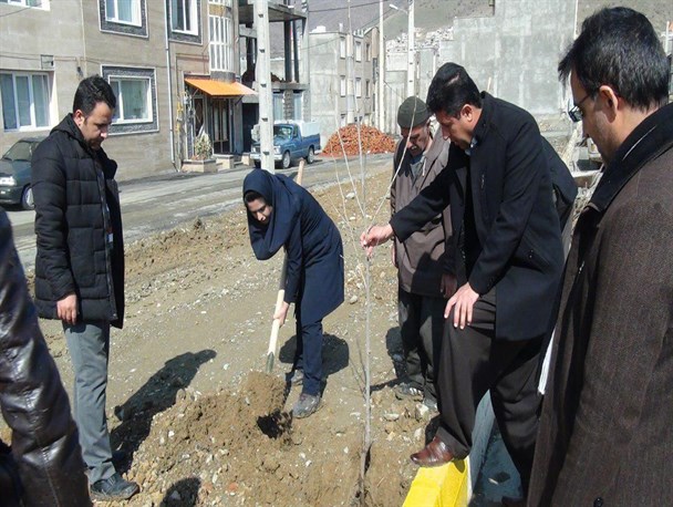 مراسم نمادین روز درختکاری در سروآباد برگزار شد/تصاویر