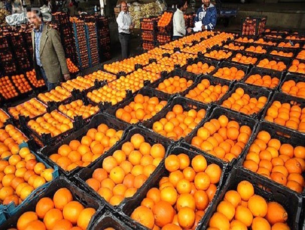 توزیع 90 تن کالاهای اساسی طرح تنظیم بازار در کوثر/میوه شب عید در گیوی تامین شد