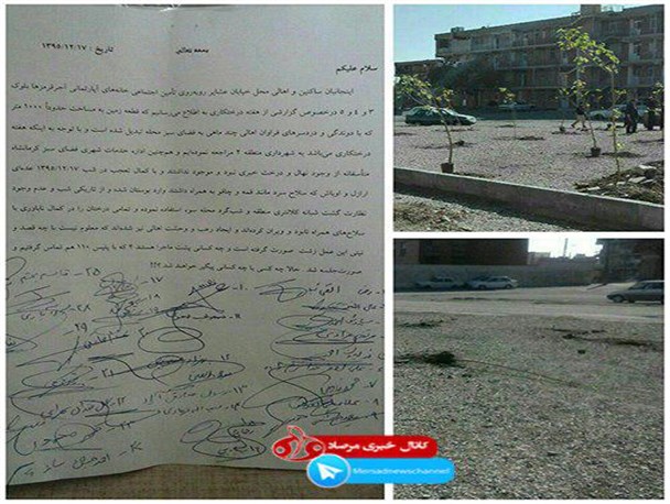 تخریب درختان فضای سبز یک محله با چاقو و قمه!