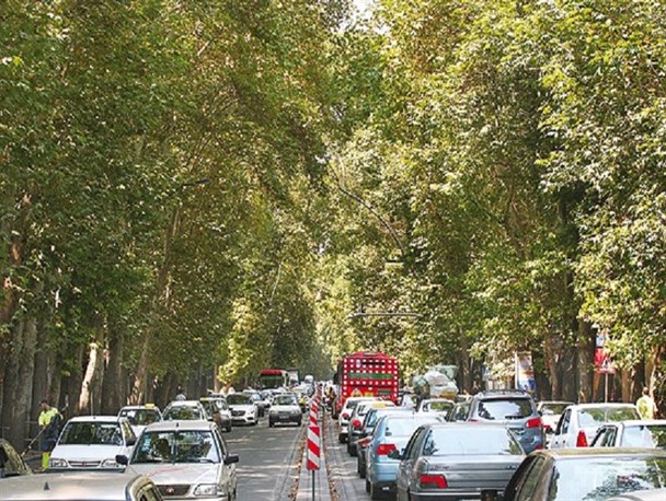 پوشش های گیاهی بهترین سد دفاعی در کاهش ریزگردها/ گیاهان مناسب کاشت در مناطق سردسیر را بشناسید/ درخت بادام پالاینده خوبی برای هوا