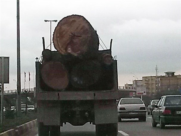 تصویر/ کامیون حمل تنه درختان قطع شده در هفته منابع طبیعی!!