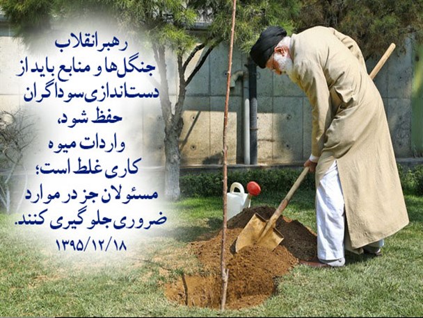 دیدگاه رهبر انقلاب درباره واردات میوه / عکس نوشت