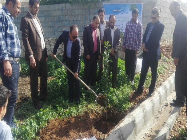 غرس ۶۶ درخت به یاد جانباختگان حادثه هواپیمای مسافربری در روستای بنه بلوط+تصاویر