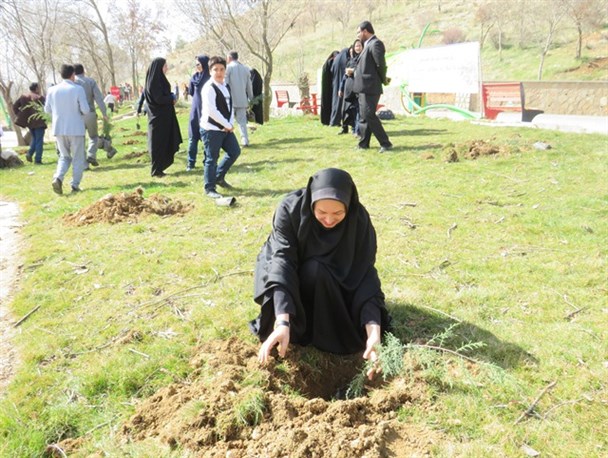کاشت ۶۶ نهال به یاد ۶۶ جان باخته سانحه هواپیمای آسمان در پارک بانوان یاسوج+تصاویر