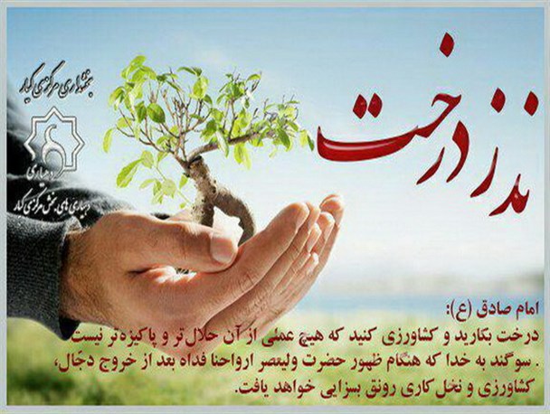 نذر درخت، نذری برای آینده
