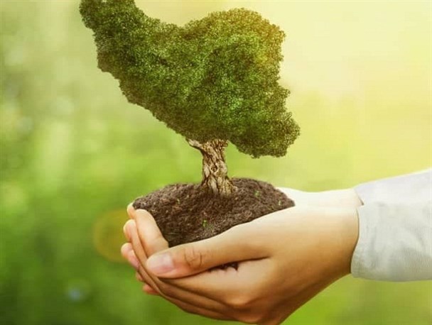 برای روزی بنام درختکاری