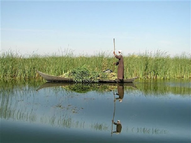 اجرای طرح قرق در راستای احیای تالاب هامون/ طرحی که ریزگردها را کنترل و پوشش گیاهی را حفظ می کند