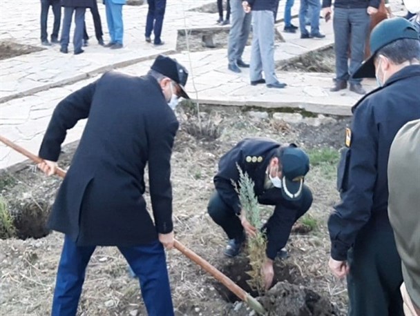 کاشت نهال، یکی از راه های صیانت از محیط زیست است