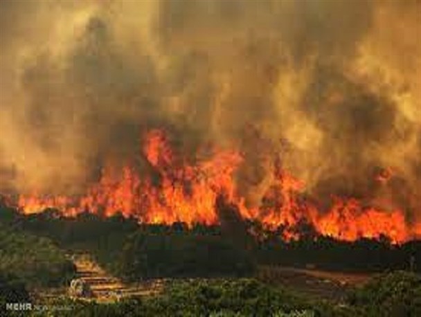 تلاب گندمان دچار حریق شد/ آتش‌سوزی در حال مهار شدن است