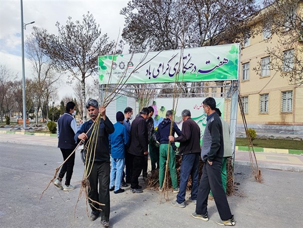 توزیع نهال به مناسبت هفته درختکاری