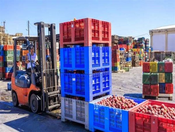 تکمیل پایانه صادراتی محصولات کشاورزی استان زنجان صادرات حوزه کشاورزی را رونق می‌دهد