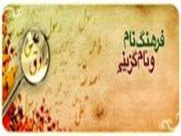 اسامی ائمه اطهار همچنان پیشتاز /مروری بر وقایع حیاتی سال 92
