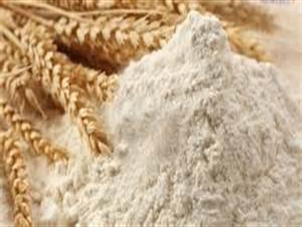 غنی سازی ماهانه هشت هزار تن آرد در استان مرکزی/آرد غنی شده با آهن و اسید فولیک در نانوایی های لواش و بربری بیشتر استفاده می شود