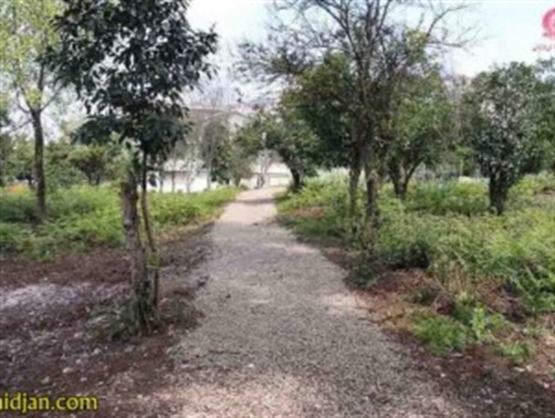 پارک جنگلی چند منظوره در لاهیجان احداث می‌‏شود+عکس