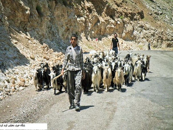 لزوم اهتمام کامل به امنیت جاده ها در هنگام کوچ عشایر به مناطق ییلاقی