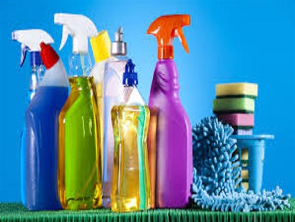 سرمایه گذاری 600 میلیون تومانی در شرکت برای 20 نفر اشتغال زایی ایجاد خواهد کرد/پاکزاد نیازمند حمایت مسئولین
