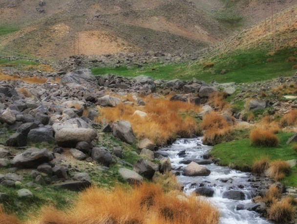 طبعیت بهاری در همدان+تصاویر