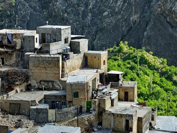 پست اینستاگرامی "تاجگردون" درباره تخصص زنان مارینی