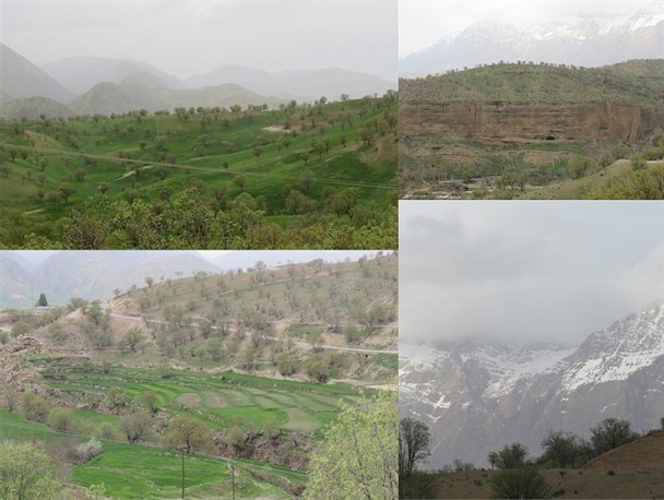 طبیعت زیبای بهاری روستای احمد غریب پاتاوه+تصاویر
