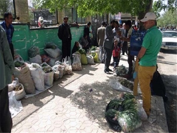 منابع طبیعی کهگیلویه و بویراحمد چه راهکاری برای مبارزه با ریشه کنی گیاهان دارویی دارد؟/ "نوش‌دارو پس از مرگ سهراب"