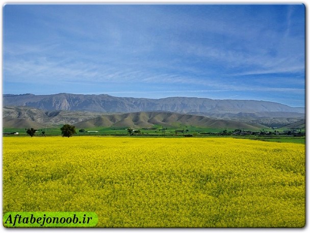 جادوی رنگ در طبیعت زیبای باشت