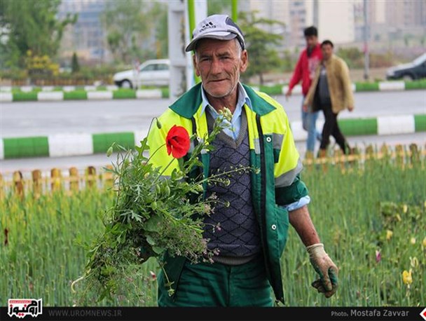 دستهایی پینه بسته حاصل زیباسازی شهر/ گوللرباغی و منظره ای طراوت بخش