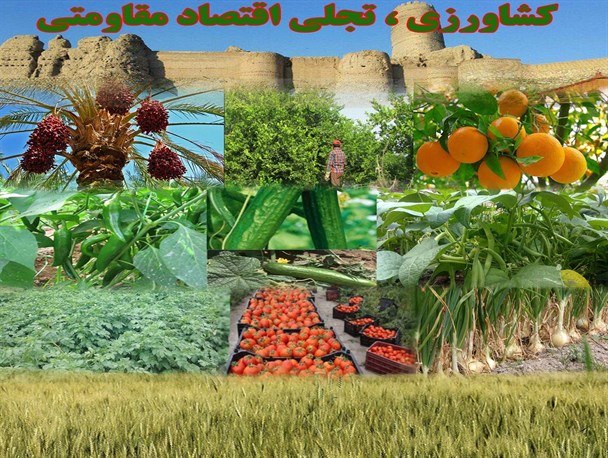 صنایع تبدیلی یکی از حلقه‌های مفقود چرخه کشاورزی درجنوب کرمان