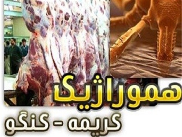 سه تن از شهروندان مشکوک به ابتلاء بیماری تب کنگو هستند
