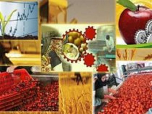 صنایع تبدیلی حلقه مفقوده در چرخه کشاورزی رودبارجنوب