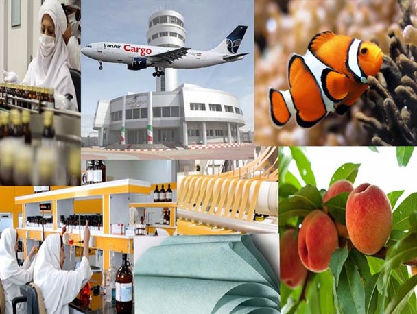 وقتی خودکفایی ِقطب تولید کشور در باتلاق تحریم جوانه زد/ استانی که با ظرفیت‌های اقتصادی شاخ انحصار آمریکا و آسیا را شکست