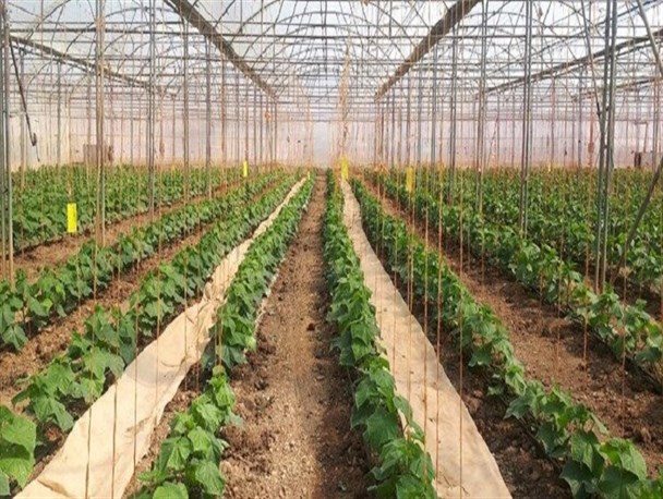 تقاضای مجوز احداث واحدهای کشاورزی ۹۰ درصد کاهش یافت