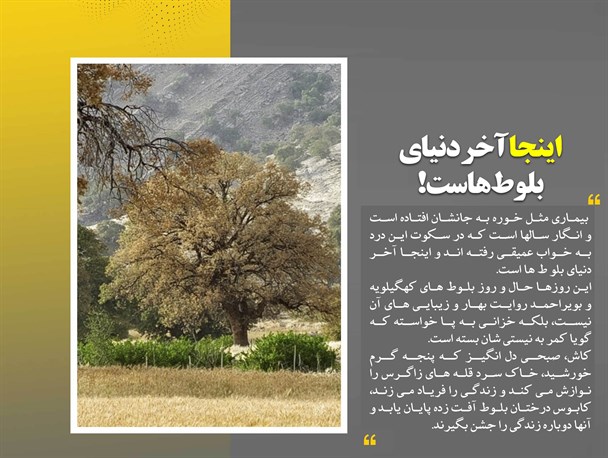 پایان ۳۴ سال چشم انتظاری/ یارانه‌ای که به جیب آمریکایی‌ها می‌رود