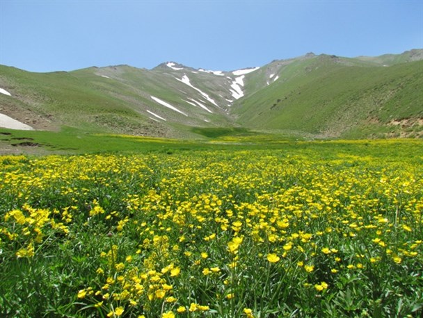 انگوران یکی از مناطق حفاظت‌شده کشور / تصاویر