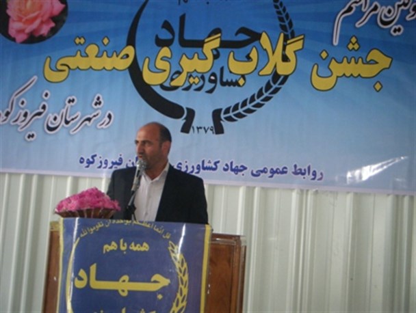 اسانس گل محمدی فیروزکوه مرغوب تر از اسانس قمصر کاشان است