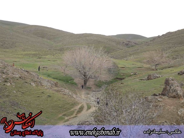 پسماندهای منطقه گردشگری قره قشون توسط اداره محیط زیست و شهرداری بناب پاکسازی شد