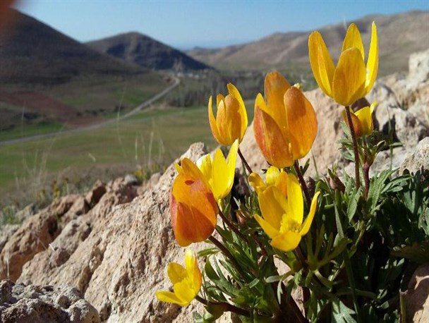 کمیجان، سرزمین سبز استان مرکزی+تصاویر