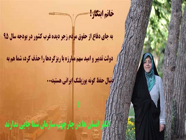 انسان ها در چارچوب سازمان محیط زیست جایی ندارند/از حذف سهم مبارزه با ریزگردها در بودجه 95 تا حفظ گونه یوزپلنگ ایرانی