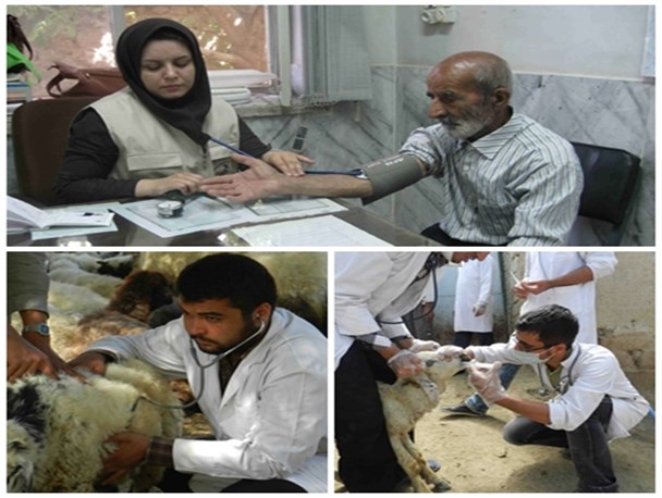 پزشکان در روستاها،دام پزشک ها در شهر