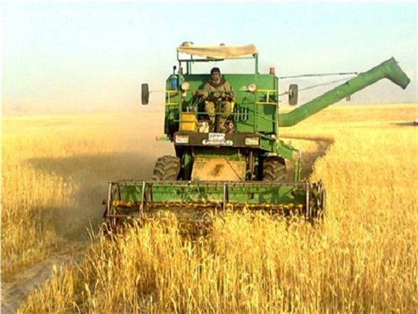 آغاز برداشت غلات در شهرضا و کنترل کمباینها توسط جهاد کشاورزی شهرضا