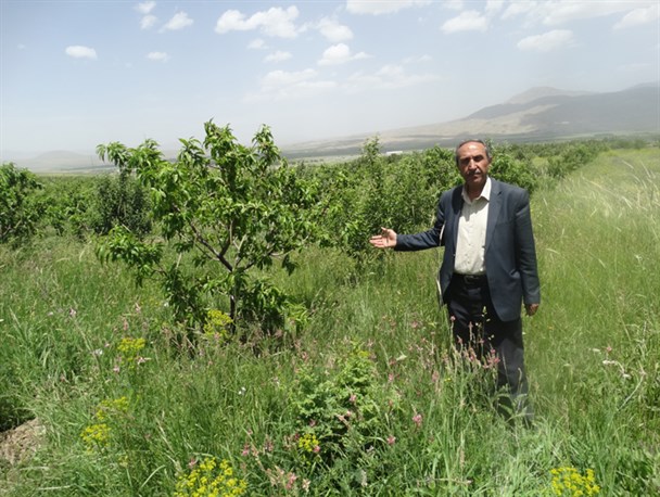 کار آفرینی که برهوتی را در صومای ارومیه به باغ تبدیل کرد