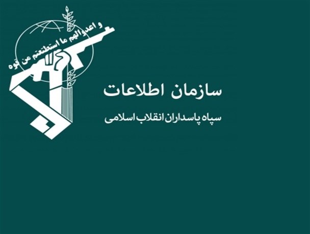 شبکه نفوذ و ترویج فساد،«پروژه عنکبوت» در فارس منهدم شد