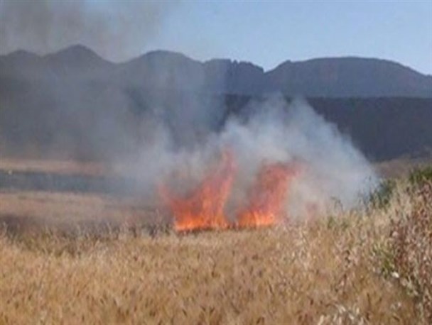 اعزام بسیجیان ایذه برای اطفای حریق کوهستان منگشت