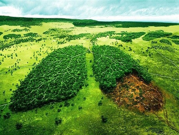 فعالیت های معدنی،بارزترین نمود تخریب زیستگاهی