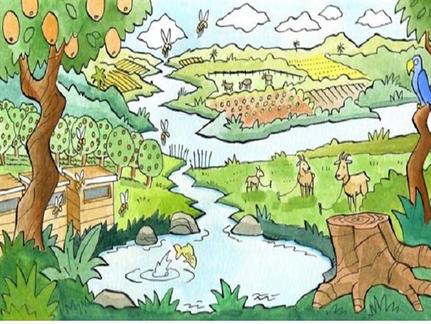 «بازسازی اکوسیستم‌ها» هم‌زمان به‌نفع انسان، طبیعت و تنوع‌زیستی است