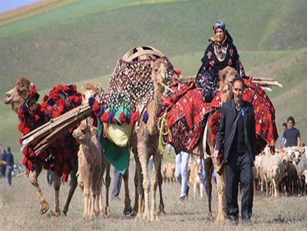 کوچ عشایر آذربایجان‌غربی به مناطق ییلاقی آغاز شد